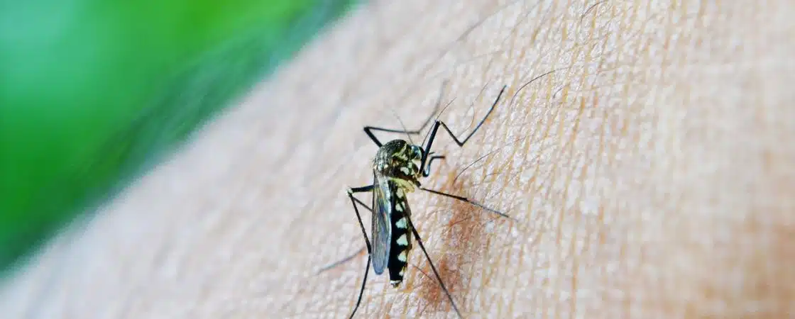 Sesab confirma 47 mortes por dengue em 2024 na Bahia