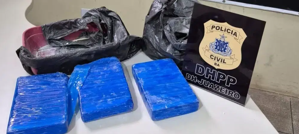 Três quilos de cocaína são apreendidos em imóveis de suspeitos