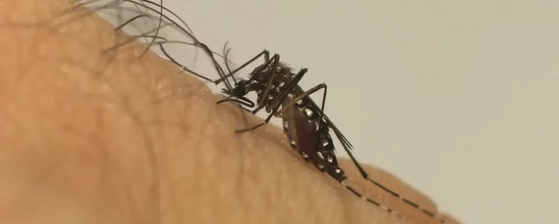 Sobe para 59 número de mortes por dengue na Bahia