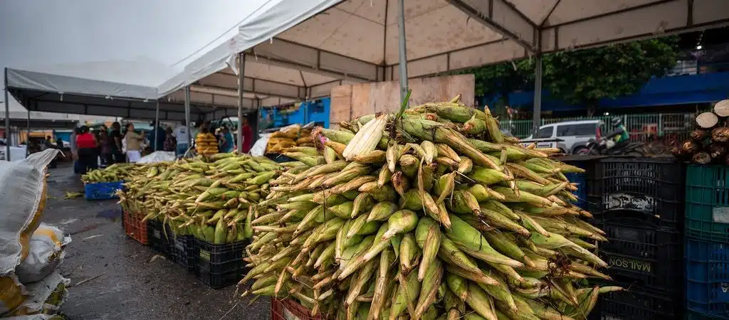 Feira do Milho começa nesta quinta com atrações musiciais