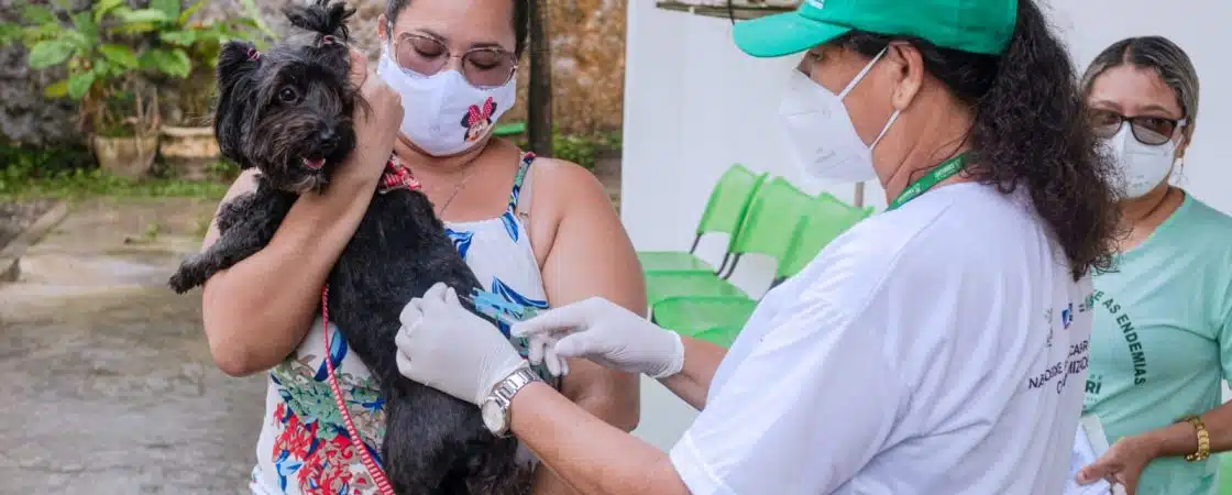 Dia D da vacinação antirrábica animal acontecerá neste sábado