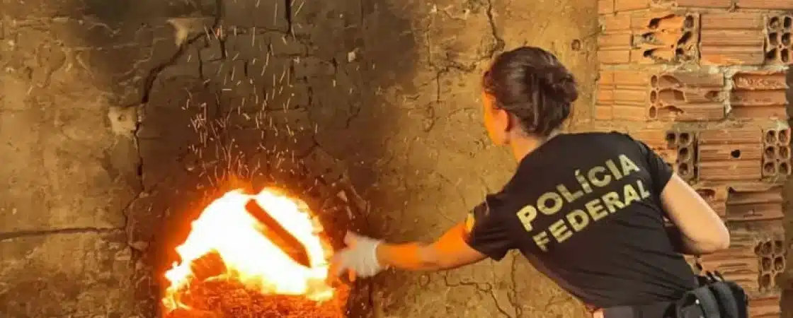 Toneladas de drogas são incineradas em Camaçari