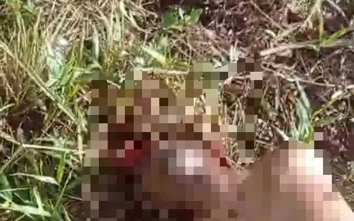 Jovem é encontrado morto na Estrada da Cetrel