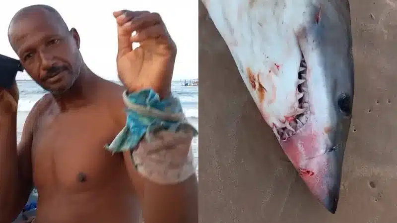 Pescador não foi atacado por tubarão em praia de Camaçari