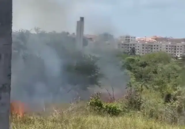 AGORA: Incêndio atinge área de condomínio do Limoeiro