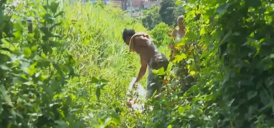 Homem é morto por ‘tribunal do crime’ em Salvador